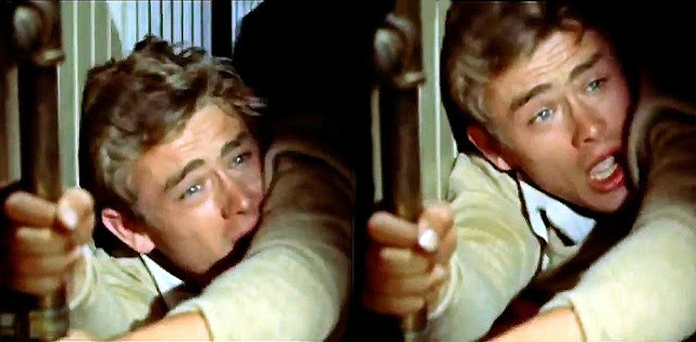 dating4disabled dating