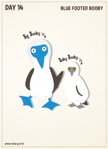 Day14-Blue Footed Booby-01